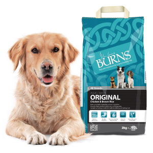 Ardee Pet Supplies listing image