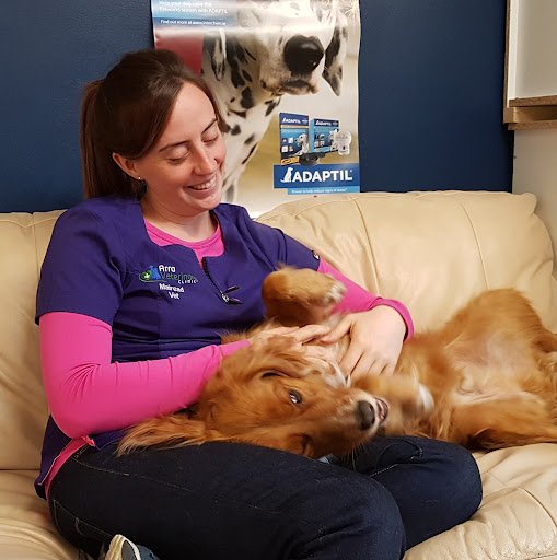 Arra Veterinary Clinic listing image