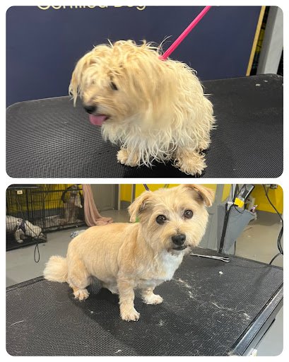 Barkleys Dog Grooming listing image