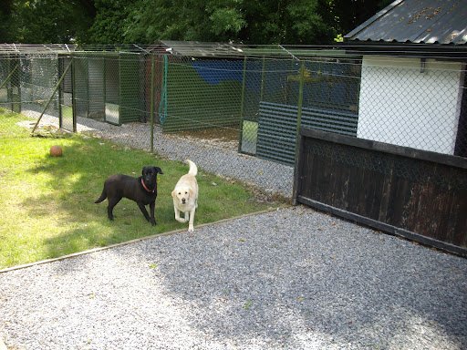 Barnyard Boarding Kennels listing image
