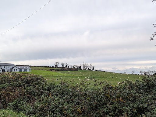 Bellewstown Kennels and Cattery listing image