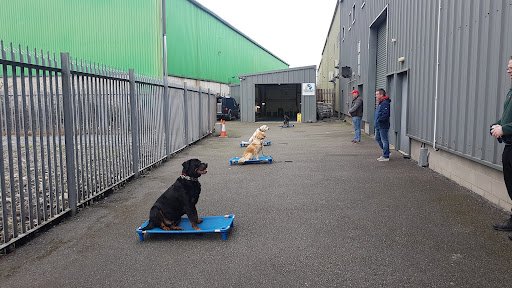 Brunnock Canine Solutions listing image