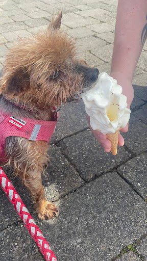 Bubbles Dog Wash - Castleknock listing image