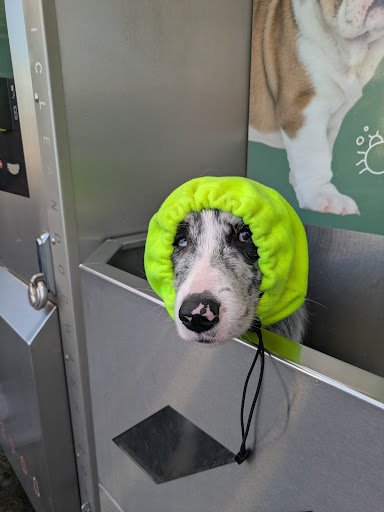 Bubbles Dog Wash - Dublin 6W listing image
