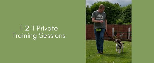 Canine Behaviour Centre listing image