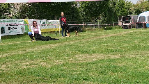 Canine Country Club listing image