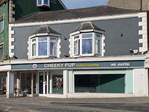 Cheeky Pup Boutique & Grooming listing image