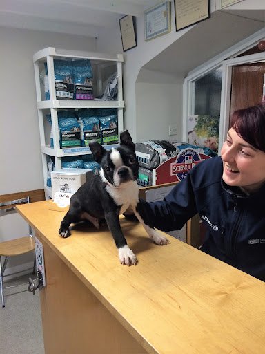 Cherrywood Veterinary Clinic listing image