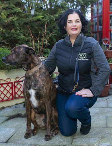 Citizen Canine Ireland listing image