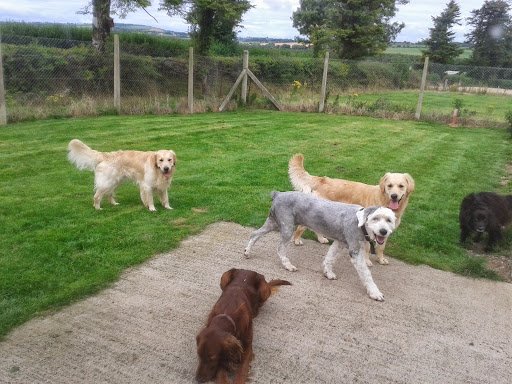 Corlican Pet Motel listing image