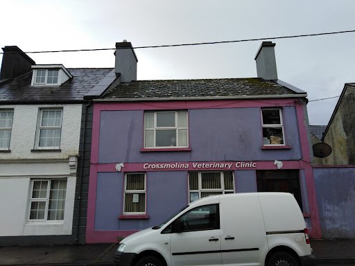 Crossmolina Veterinary Clinic listing image