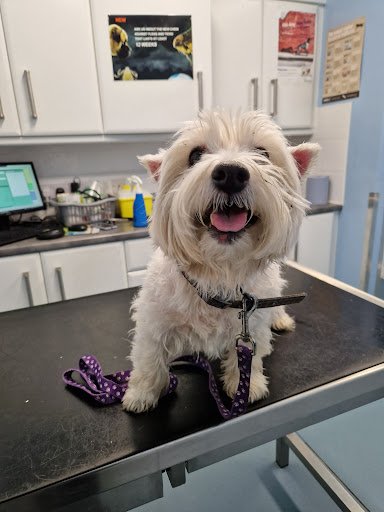 Crowe's Veterinary Clinic listing image