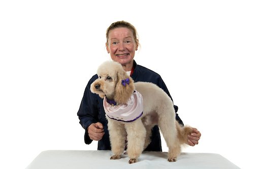 Cullencastle Grooming Studio listing image