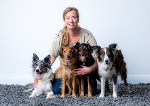 D.r. Dogcare Dog Training and Grooming listing image