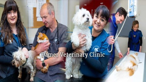 Damer Veterinary Clinic listing image
