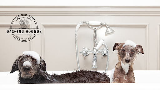 Dashing Hounds listing image