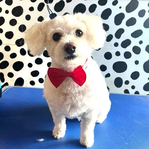 Dec’s Pets listing image