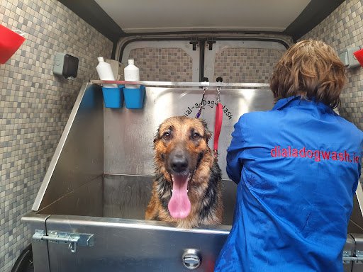 Dial a Dog Wash West Cork listing image