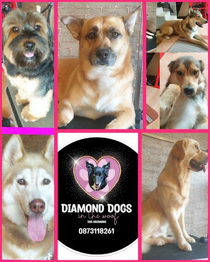 Diamond Dogs in the Woof listing image
