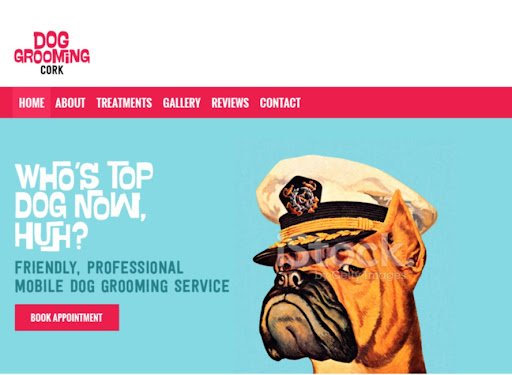 Dog Grooming Cork listing image