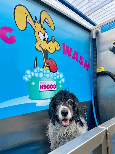 Dog Wash listing image