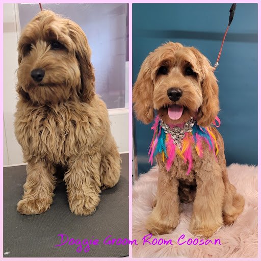 Doggie Groom Room Coosan listing image