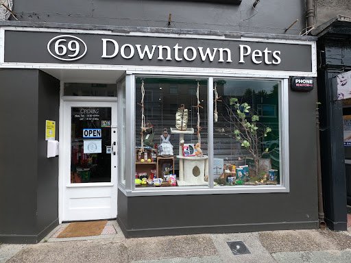 Downtown Pets listing image