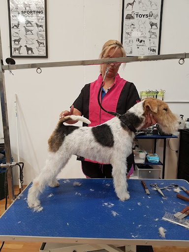 Fairy Dog Mother listing image