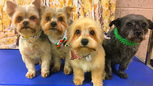 Forest View Pet Grooming listing image