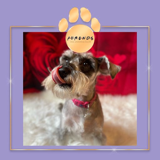Furends Dog Grooming listing image