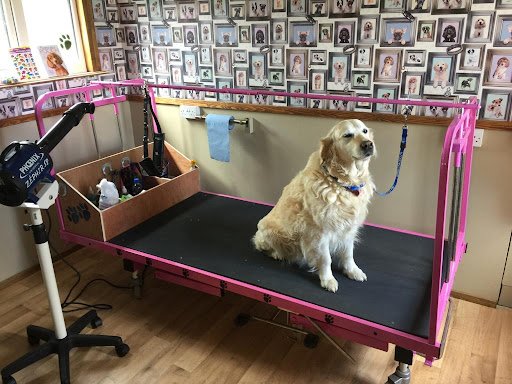 Furever Friends Professional Dog Grooming listing image