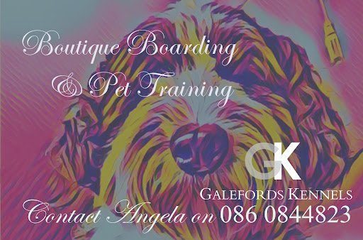 Gk Boutique Boarding listing image