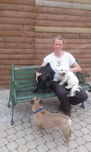 Glebe House Boarding Kennels listing image