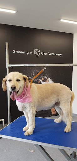 Glen Veterinary listing image