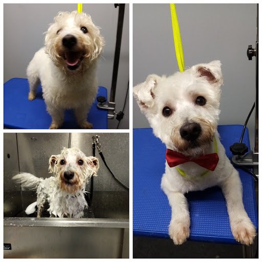 Graces Grooming Studio listing image
