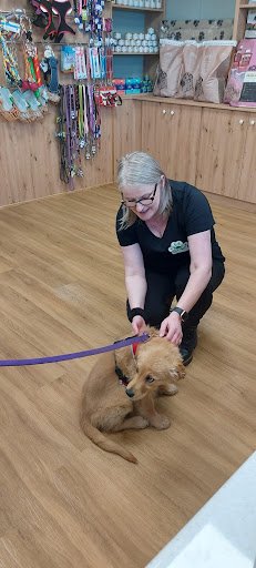 Green Paws Grooming Studio and Doggy Shop listing image