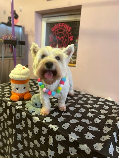 Griffin's Dog Grooming listing image