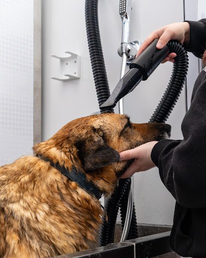 Groom 'n Go Self-service Dog Wash - Cork listing image