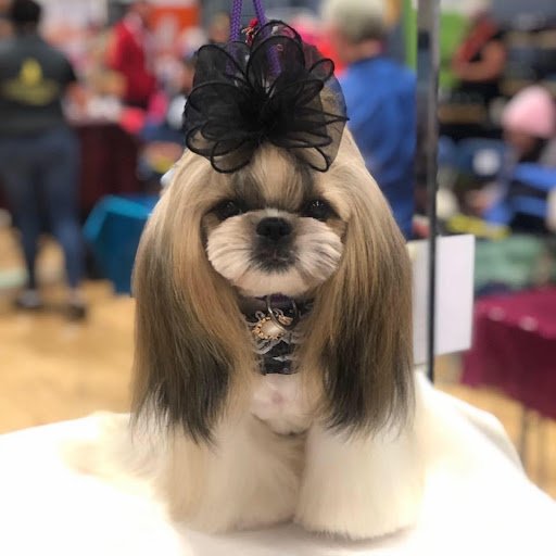 Groomed by Kerrie listing image