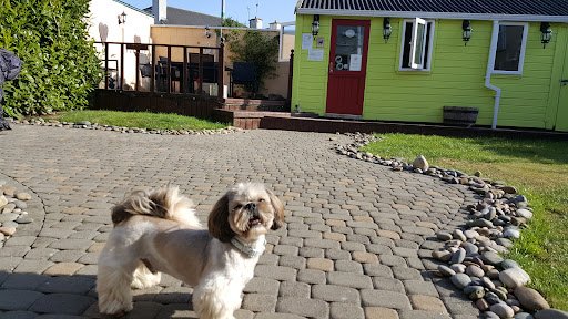 Groomer Has It! Dog Grooming listing image
