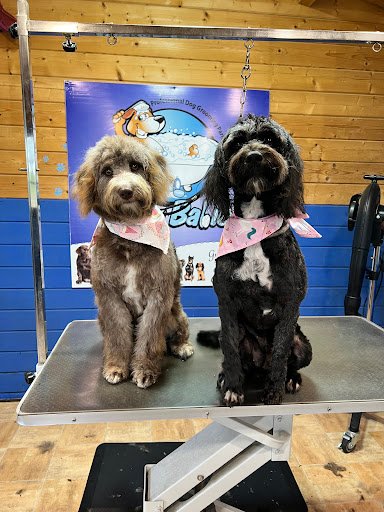 Hairy Babies - Professional Dog Grooming Parlour listing image