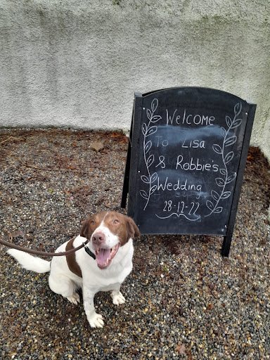 Hairy Hounds listing image