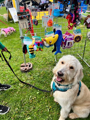 Happy Tails LTD listing image
