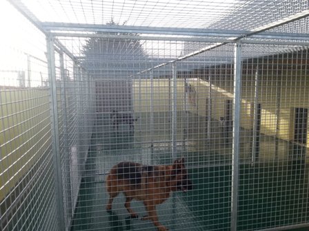 Happyhounds Dog Boarding Kennels listing image