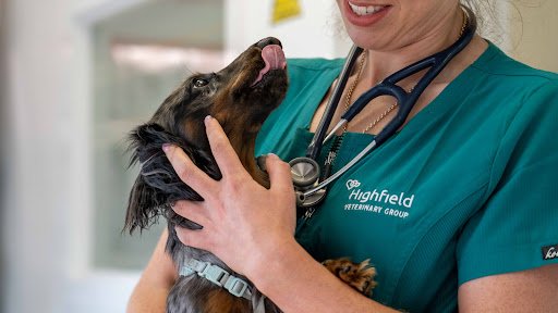 Highfield Veterinary Clane listing image