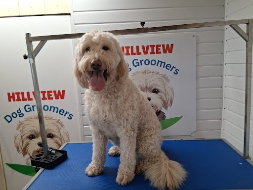 Hillview Dog Groomers listing image