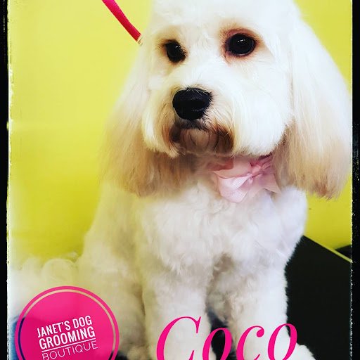 Janet's Dog Grooming Boutique listing image