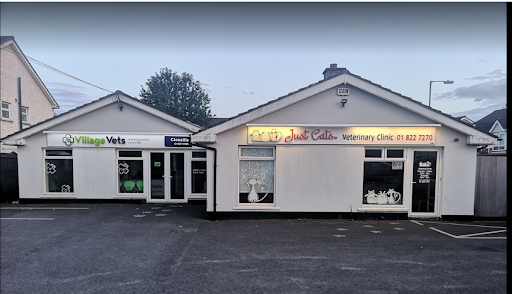 Just Cats @ Village Vets Clonsilla listing image