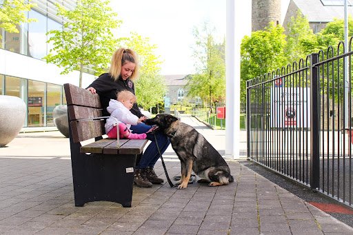 K9 Security Ireland listing image
