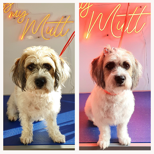 Kiss My Mutt Dog Grooming listing image